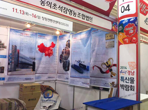 飞力达：布展第九届韩国庆尚南道特产品博览会