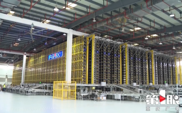 进出口货量稳步回暖   重庆卫视探温飞力达